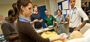 Meet our Fellows
